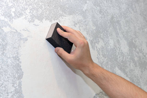 Best HVAC Mold Inspection and Cleaning  in Annapolis Neck, MD