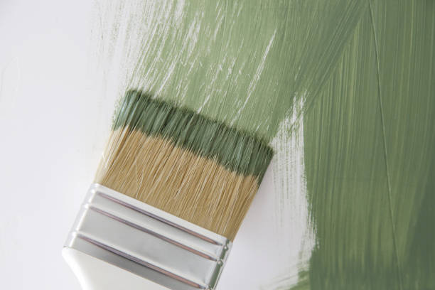 Best Water Damage & Mold Remediation  in Annapolis Neck, MD