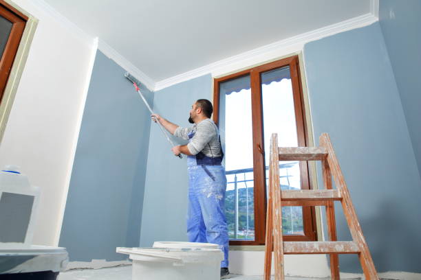 Best Post-Construction Mold Inspection  in Annapolis Neck, MD