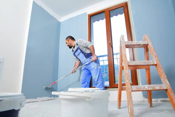 Best Basement Mold Removal  in Annapolis Neck, MD