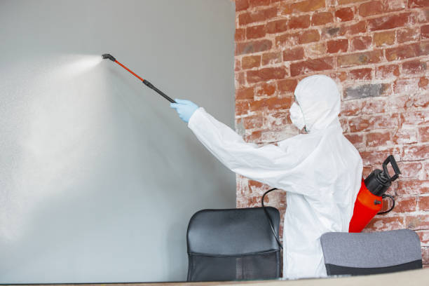 Dehumidification Services in Annapolis Neck, MD