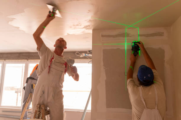 Annapolis Neck, MD Mold Removal Pros