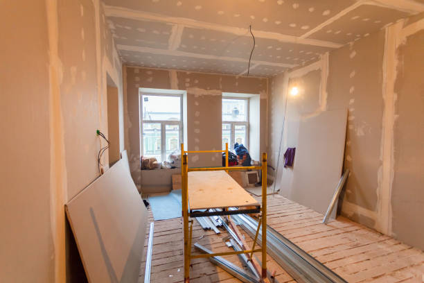 Best Biohazard Mold Removal  in Annapolis Neck, MD